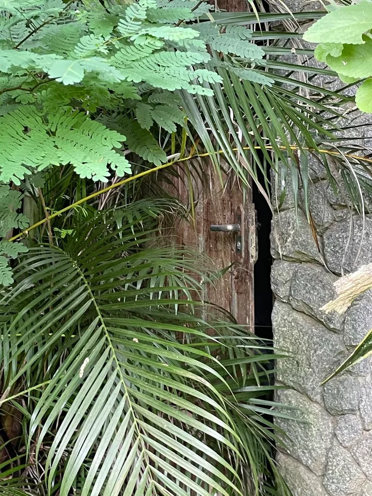 Sítio, 3 quartos - Foto 63