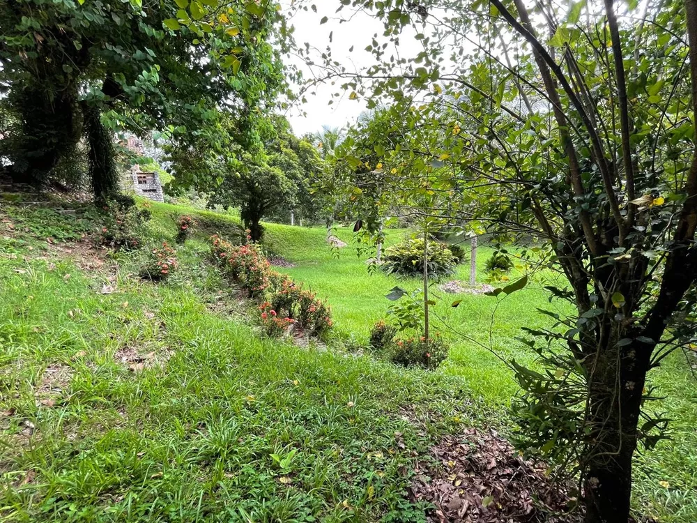 Sítio, 3 quartos - Foto 62