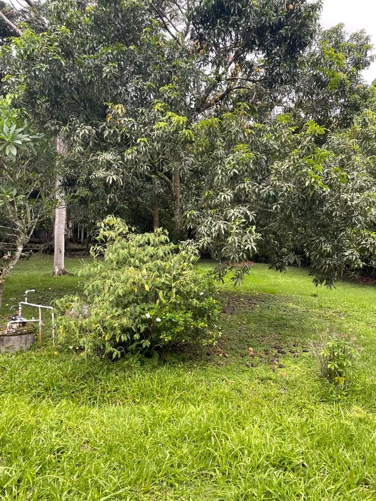 Sítio, 3 quartos - Foto 13