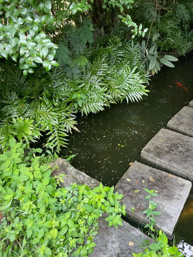 Sítio, 3 quartos - Foto 24