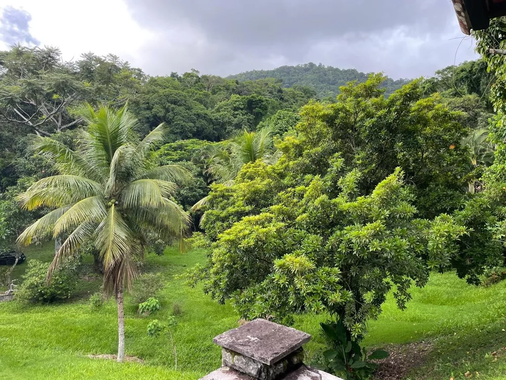 Sítio, 3 quartos - Foto 22