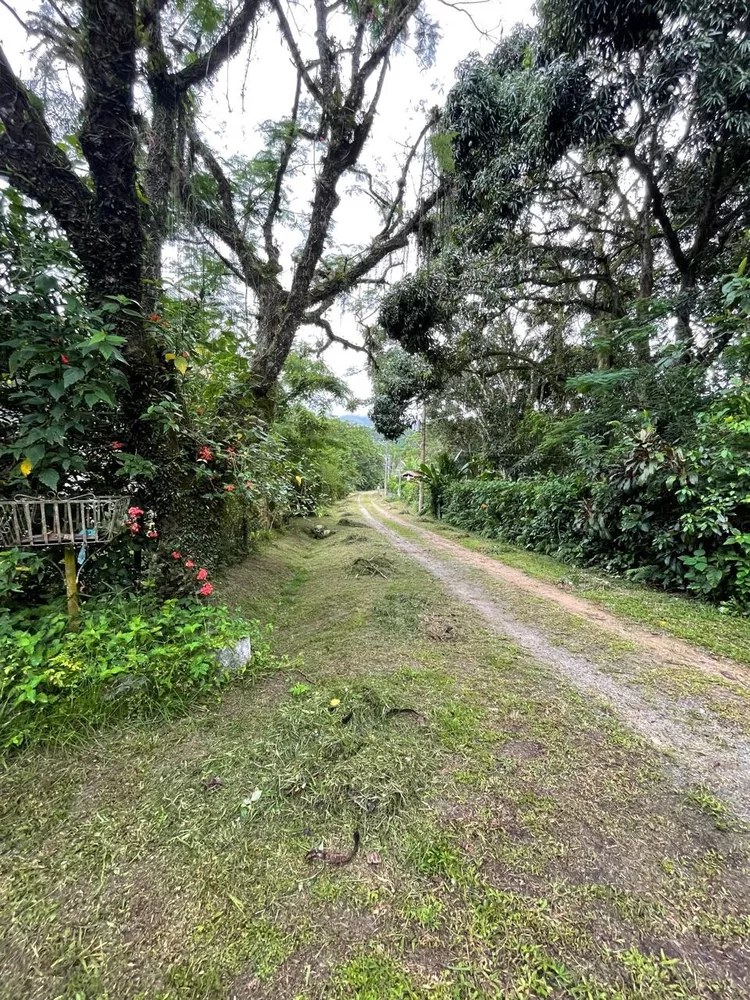 Sítio, 3 quartos - Foto 72