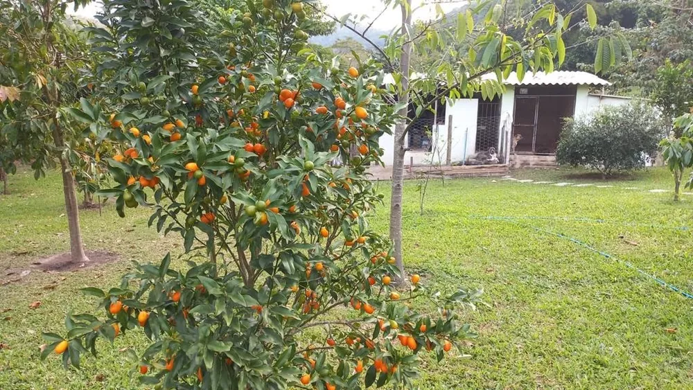 Sítio, 2 quartos - Foto 6