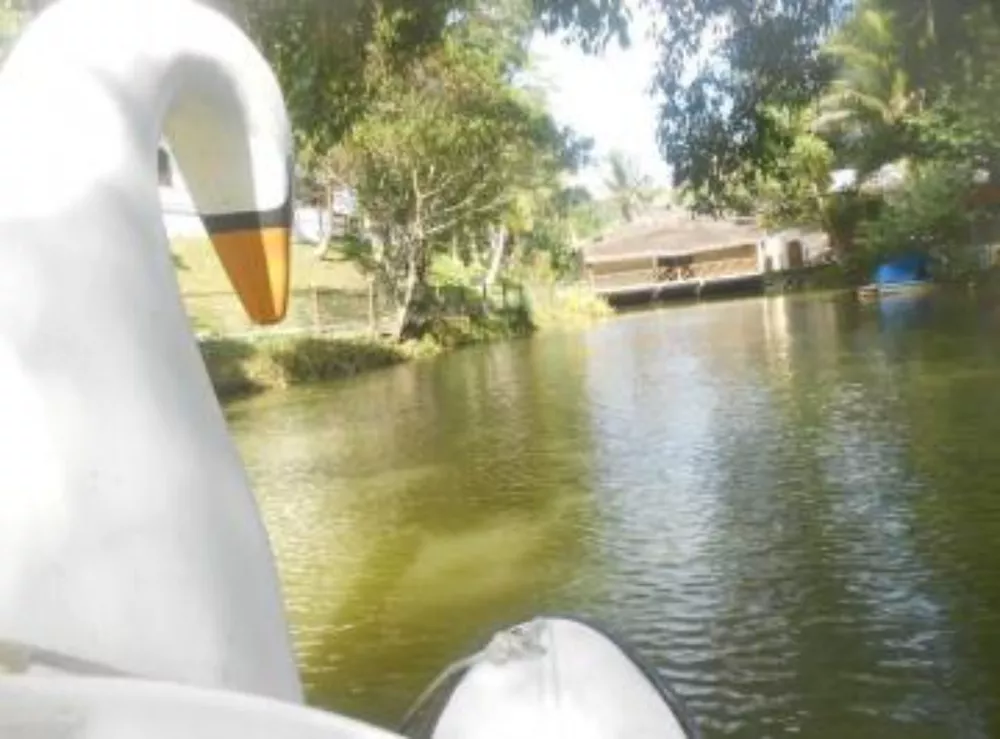 Fazenda, 65 quartos - Foto 1