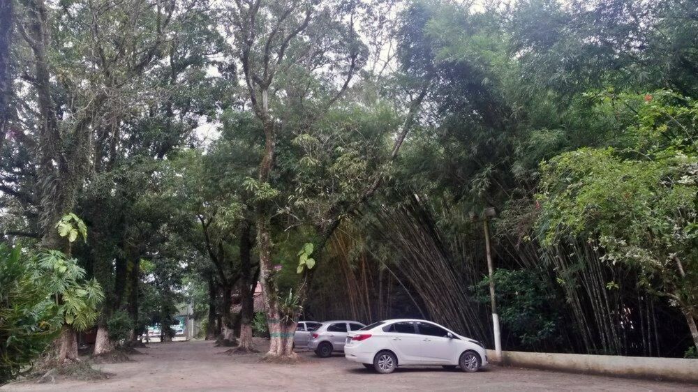 Fazenda à venda com 65 quartos - Foto 2