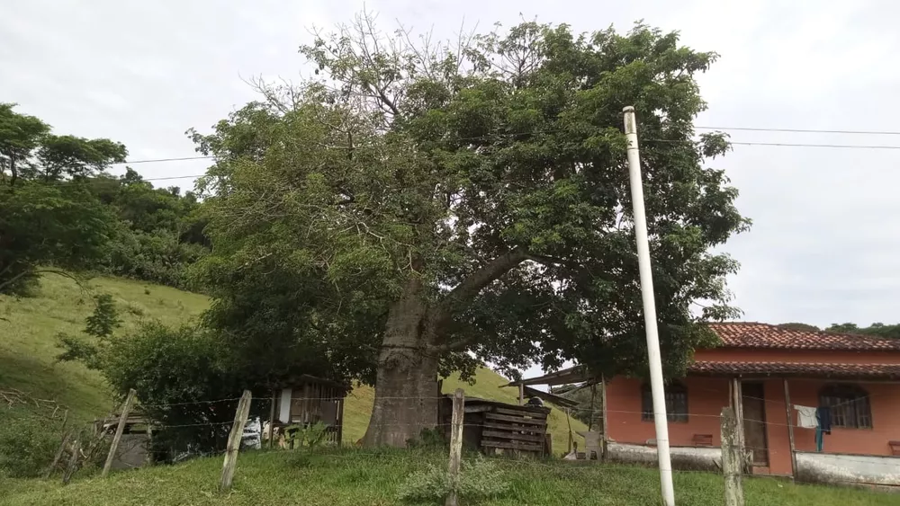 Fazenda, 8 quartos - Foto 12