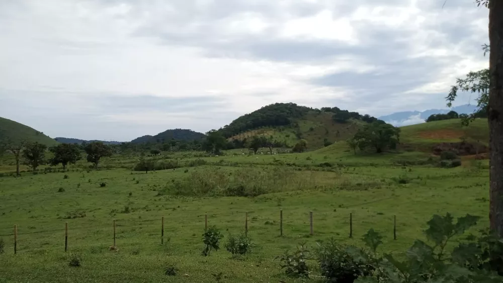 Fazenda, 8 quartos - Foto 21