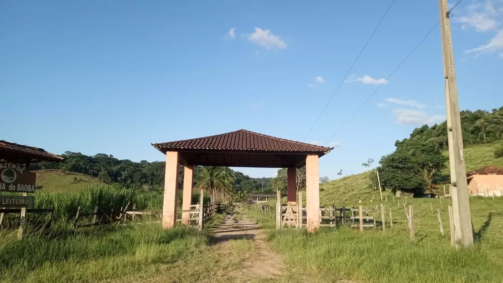 Fazenda, 8 quartos - Foto 1