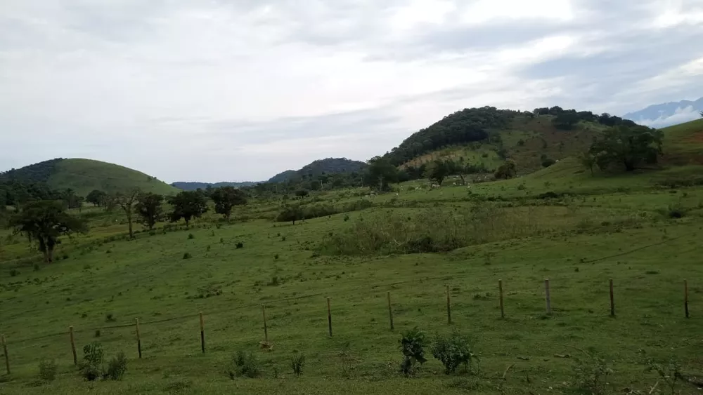 Fazenda, 8 quartos - Foto 20