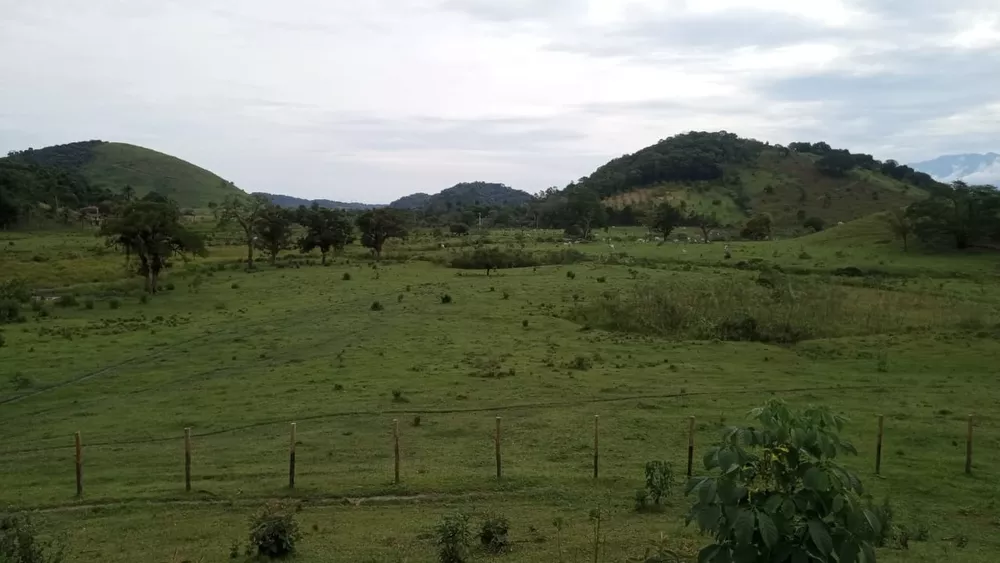 Fazenda, 8 quartos - Foto 18