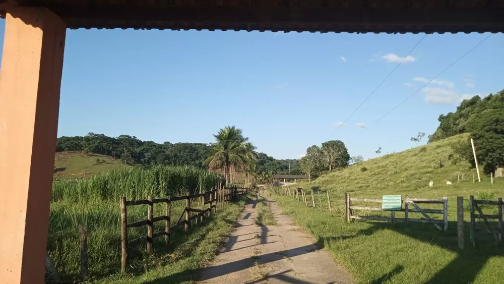 Fazenda, 8 quartos - Foto 5