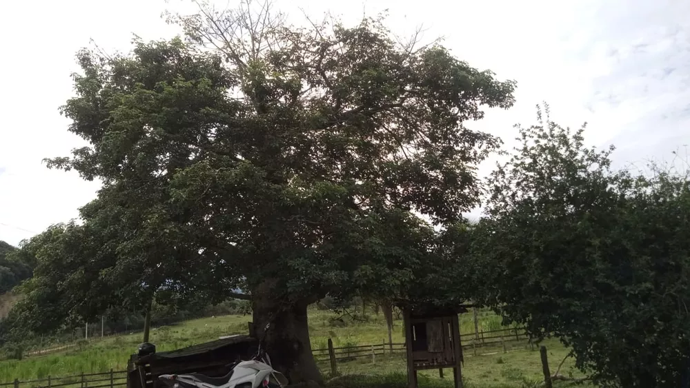 Fazenda, 8 quartos - Foto 11