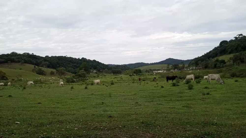 Fazenda, 8 quartos - Foto 32