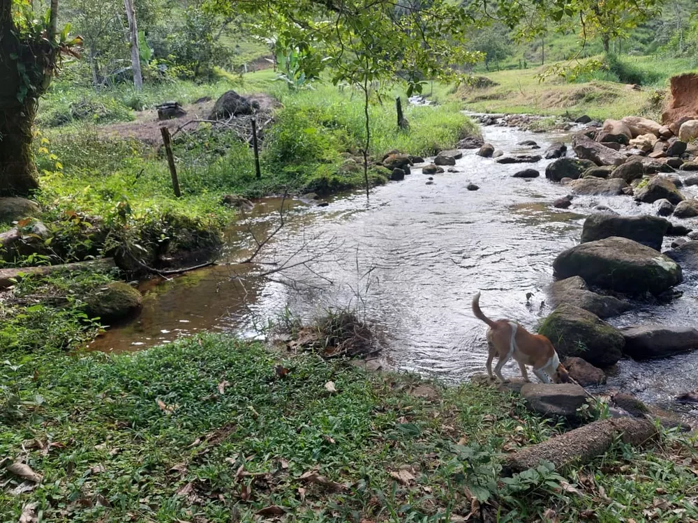 Fazenda, 2 quartos - Foto 41