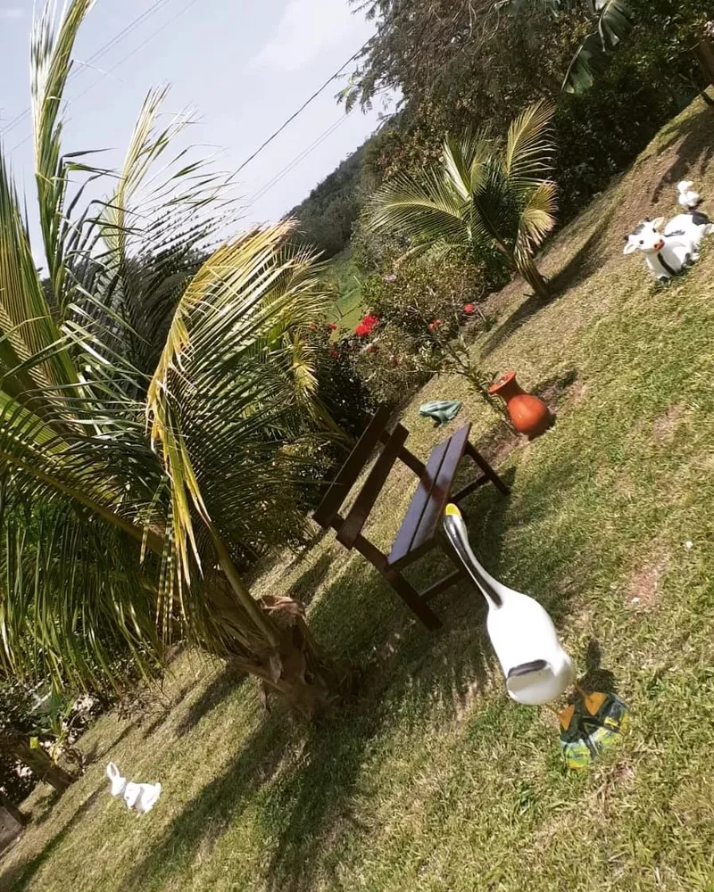 Casa, 5 quartos, 1040 m² - Foto 37