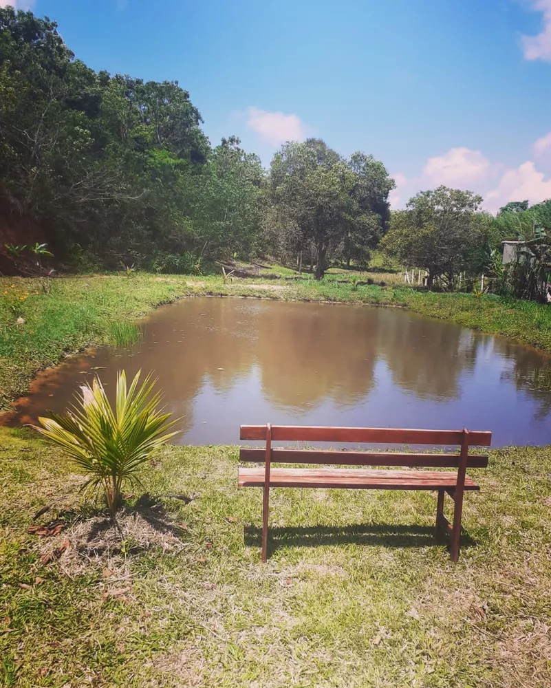 Casa, 5 quartos, 1040 m² - Foto 38