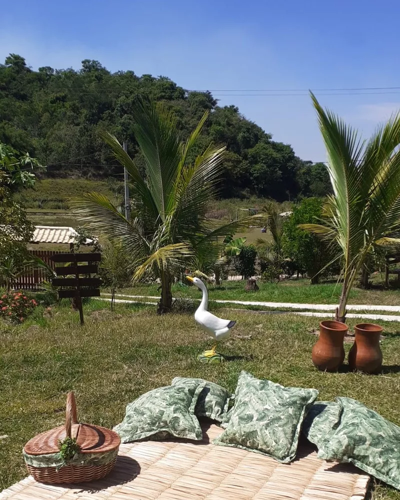 Casa, 5 quartos, 1040 m² - Foto 16