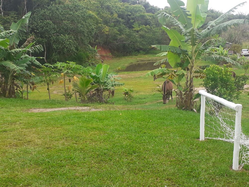 Casa, 5 quartos, 1040 m² - Foto 43