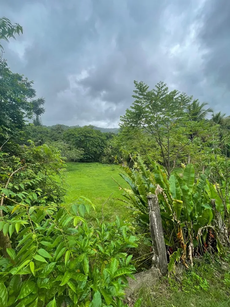 Sítio, 1 quarto - Foto 16