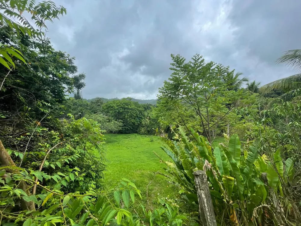 Sítio, 1 quarto - Foto 20