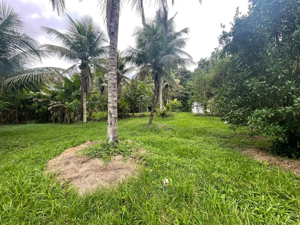 Sítio, 1 quarto - Foto 19