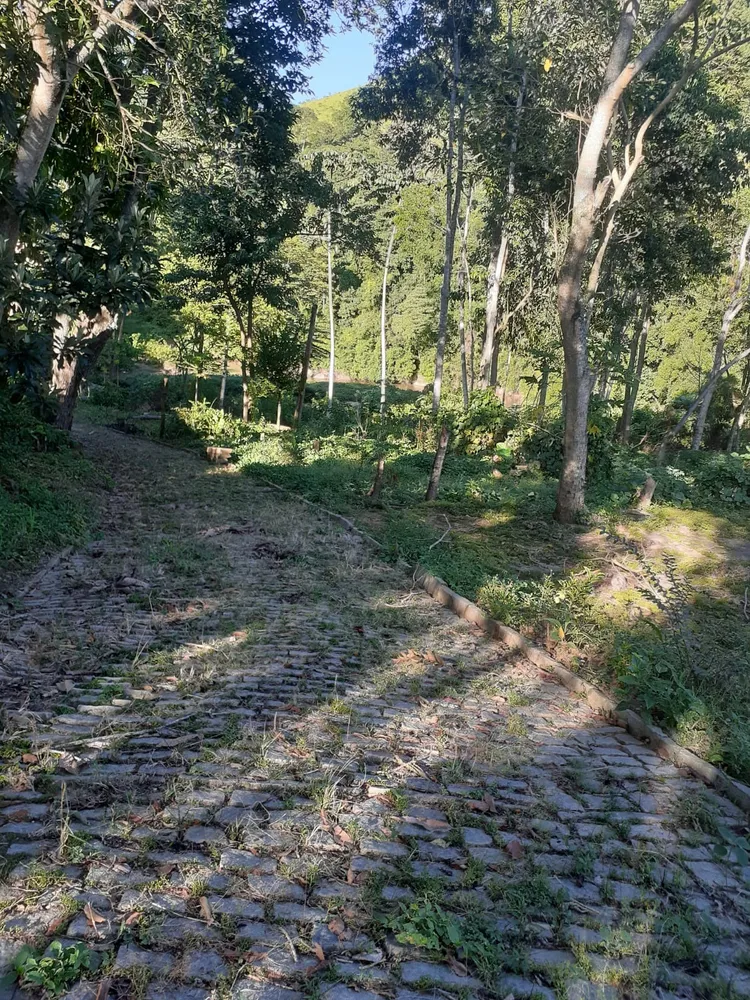 Chácara, 3 quartos - Foto 32