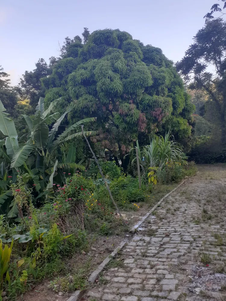 Chácara, 3 quartos - Foto 20