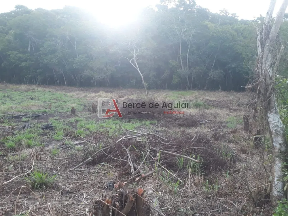 Fazenda - Foto 4
