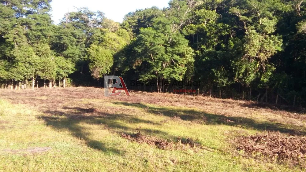 Terreno - Foto 7