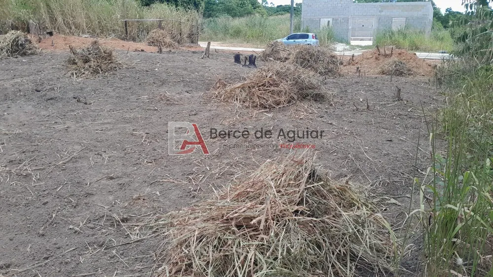 Terreno, 4200 m² - Foto 4