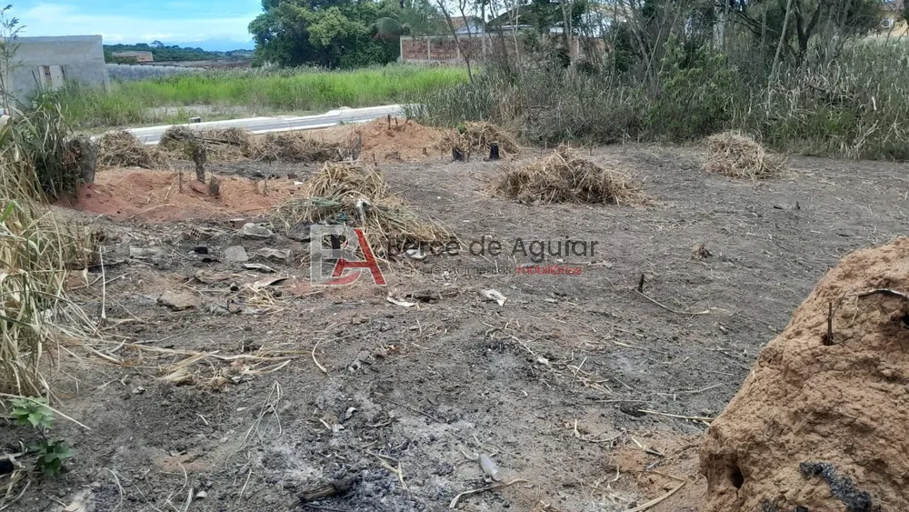Terreno, 4200 m² - Foto 3