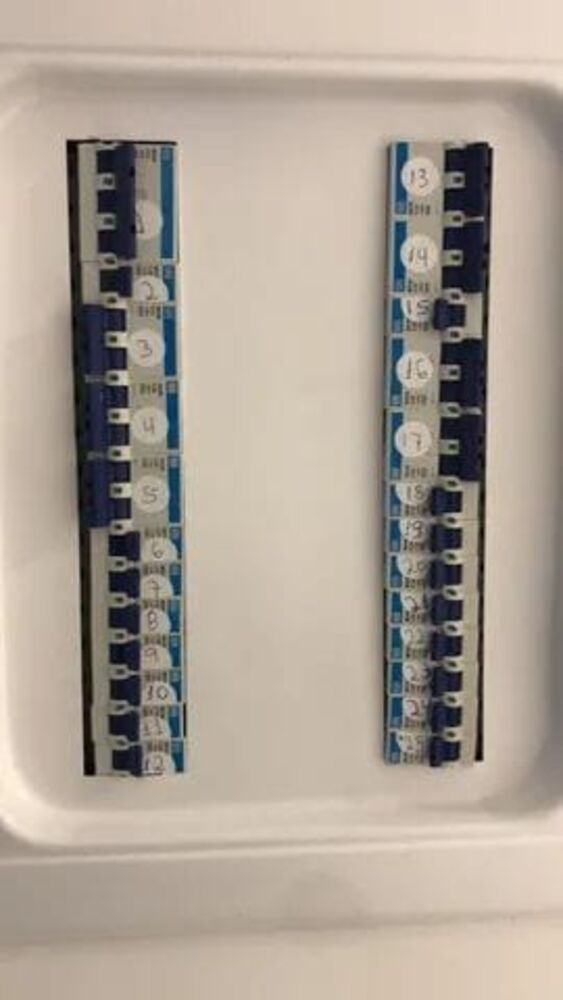 Casa, 3 quartos - Foto 11