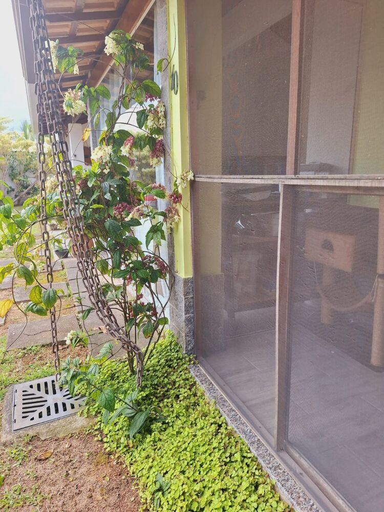 Casa, 2 quartos - Foto 5