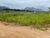 Terreno, 470 m² - Foto 3