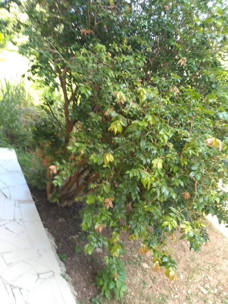 Casa, 2 quartos - Foto 8