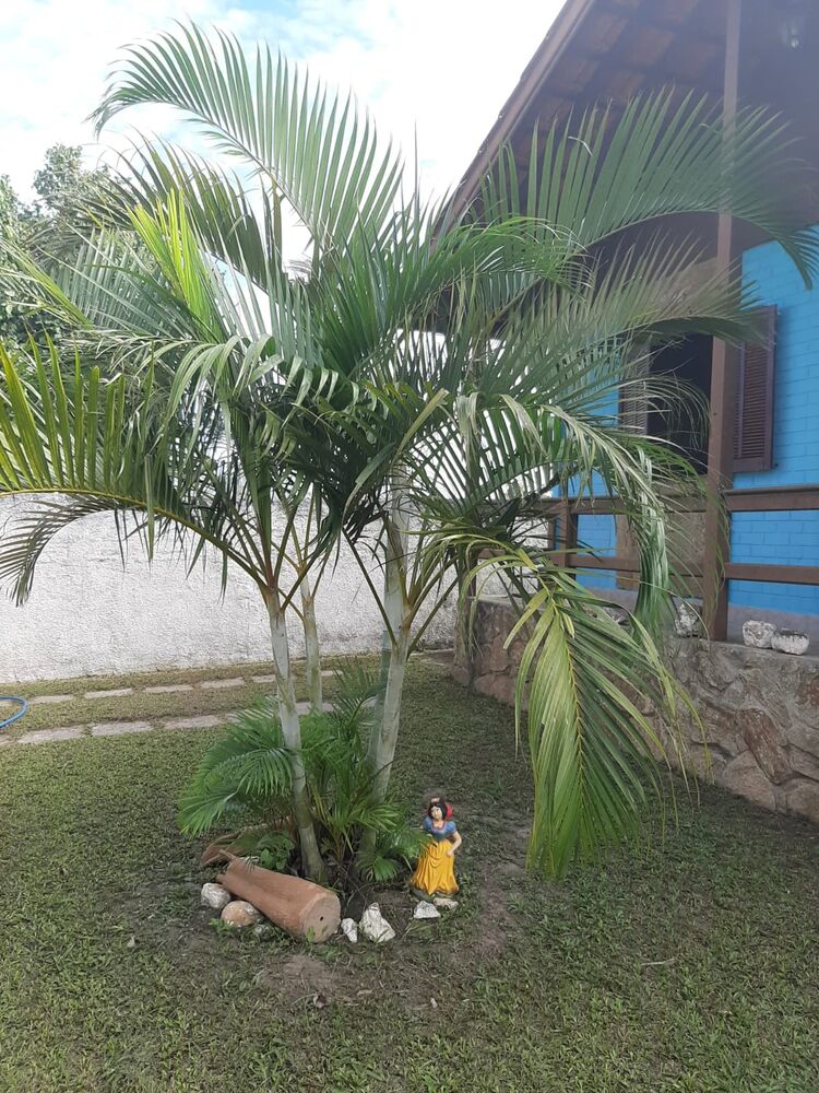 Casa, 3 quartos - Foto 2