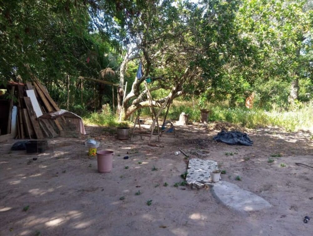 Sítio, 3 quartos - Foto 6