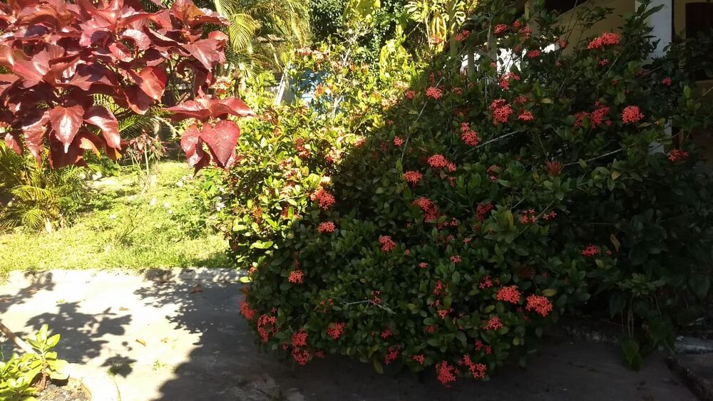 Sítio à venda com 4 quartos - Foto 2