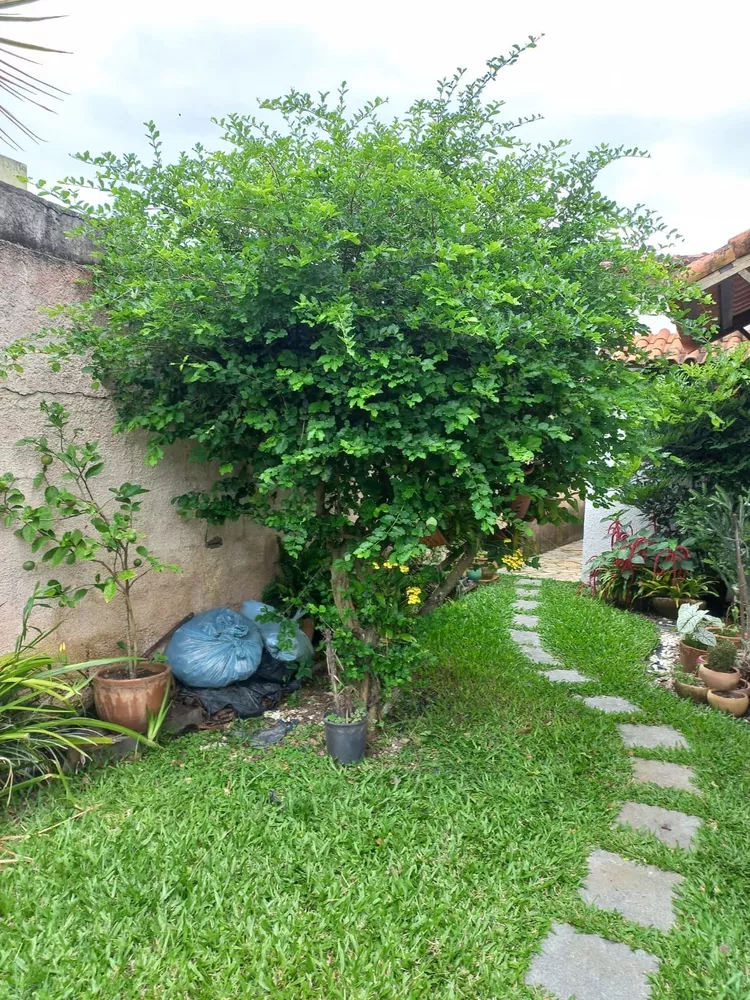 Casa, 3 quartos - Foto 54