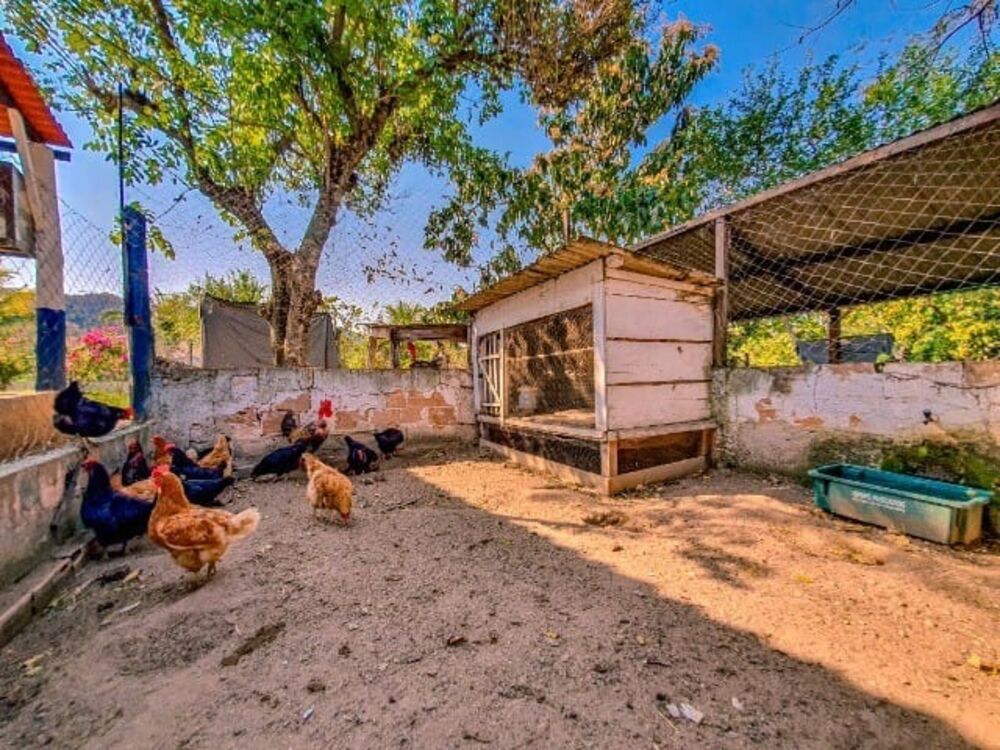 Sítio, 7 quartos - Foto 7