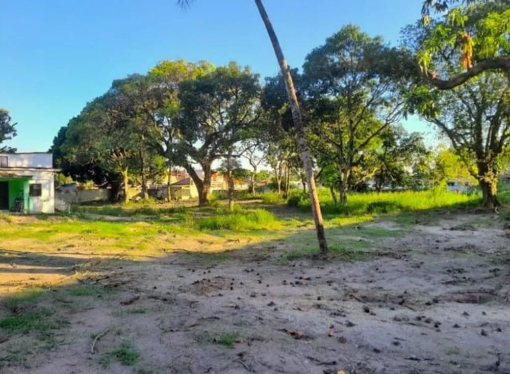 Sítio, 2 quartos - Foto 10