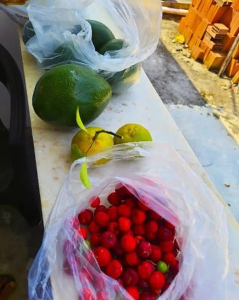 Sítio, 2 quartos - Foto 8