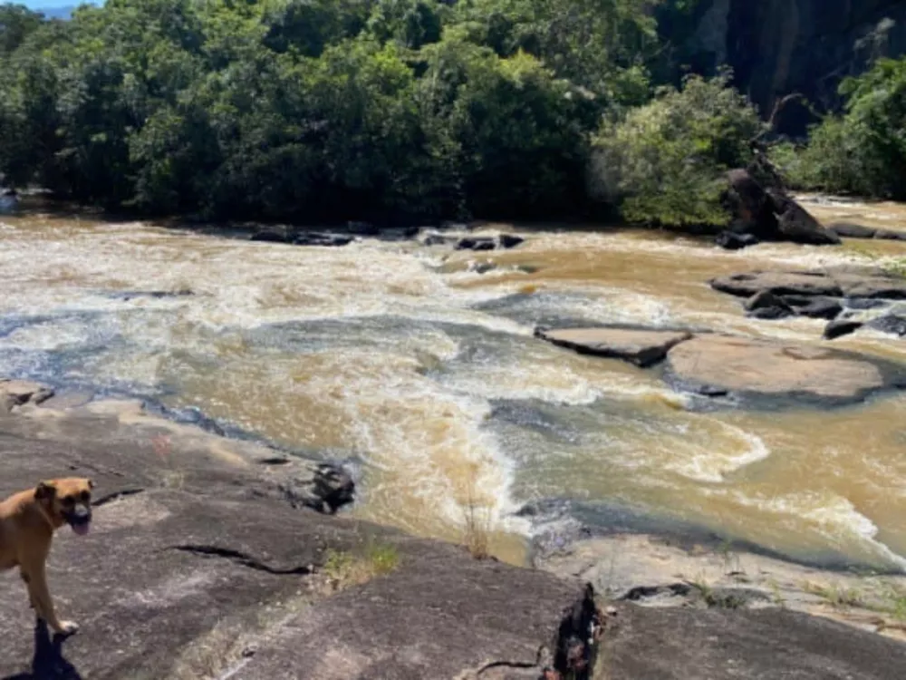Fazenda, 10 quartos - Foto 8