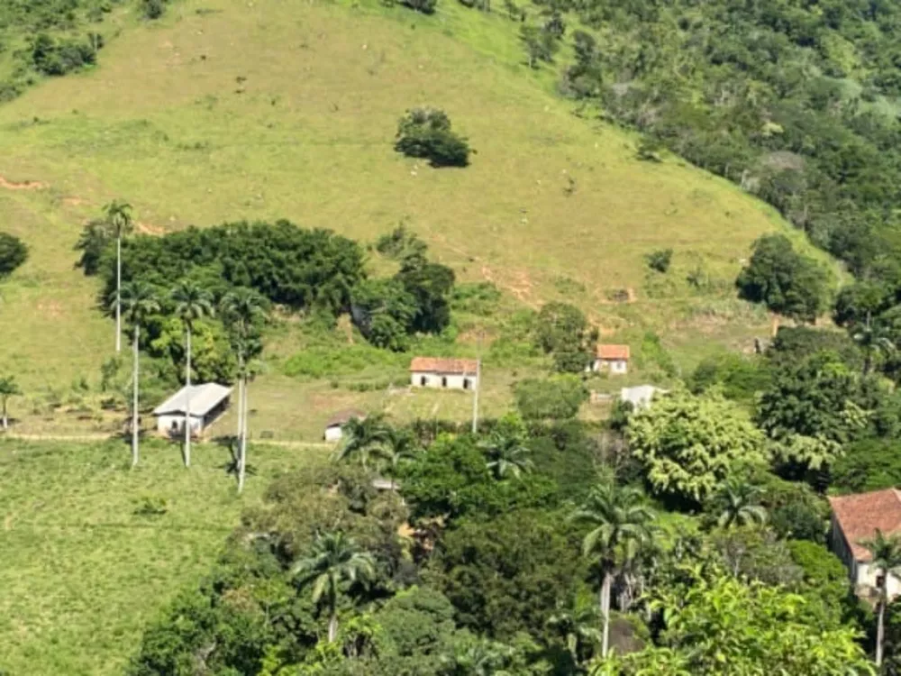 Fazenda, 10 quartos - Foto 4