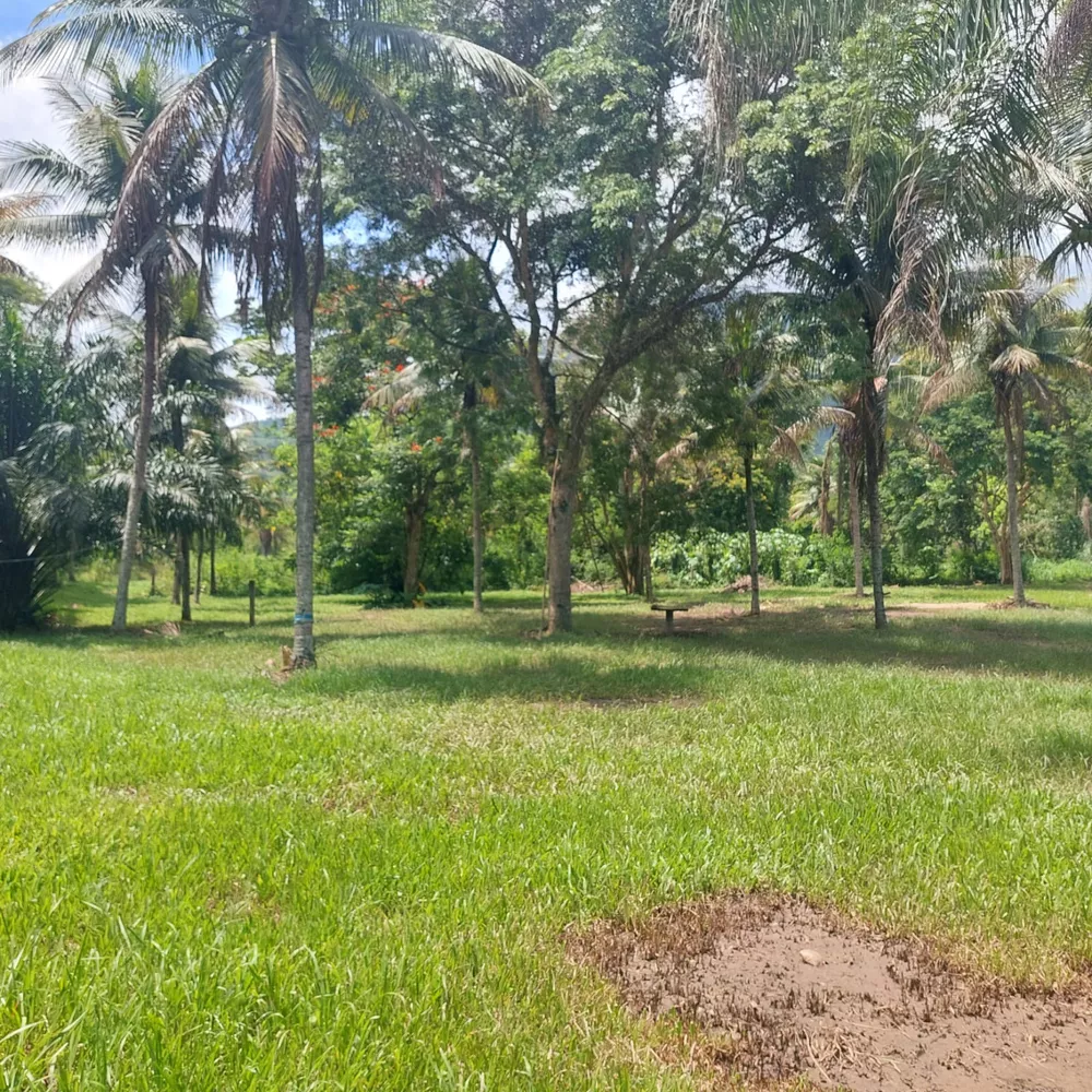 Sítio, 6 quartos - Foto 27