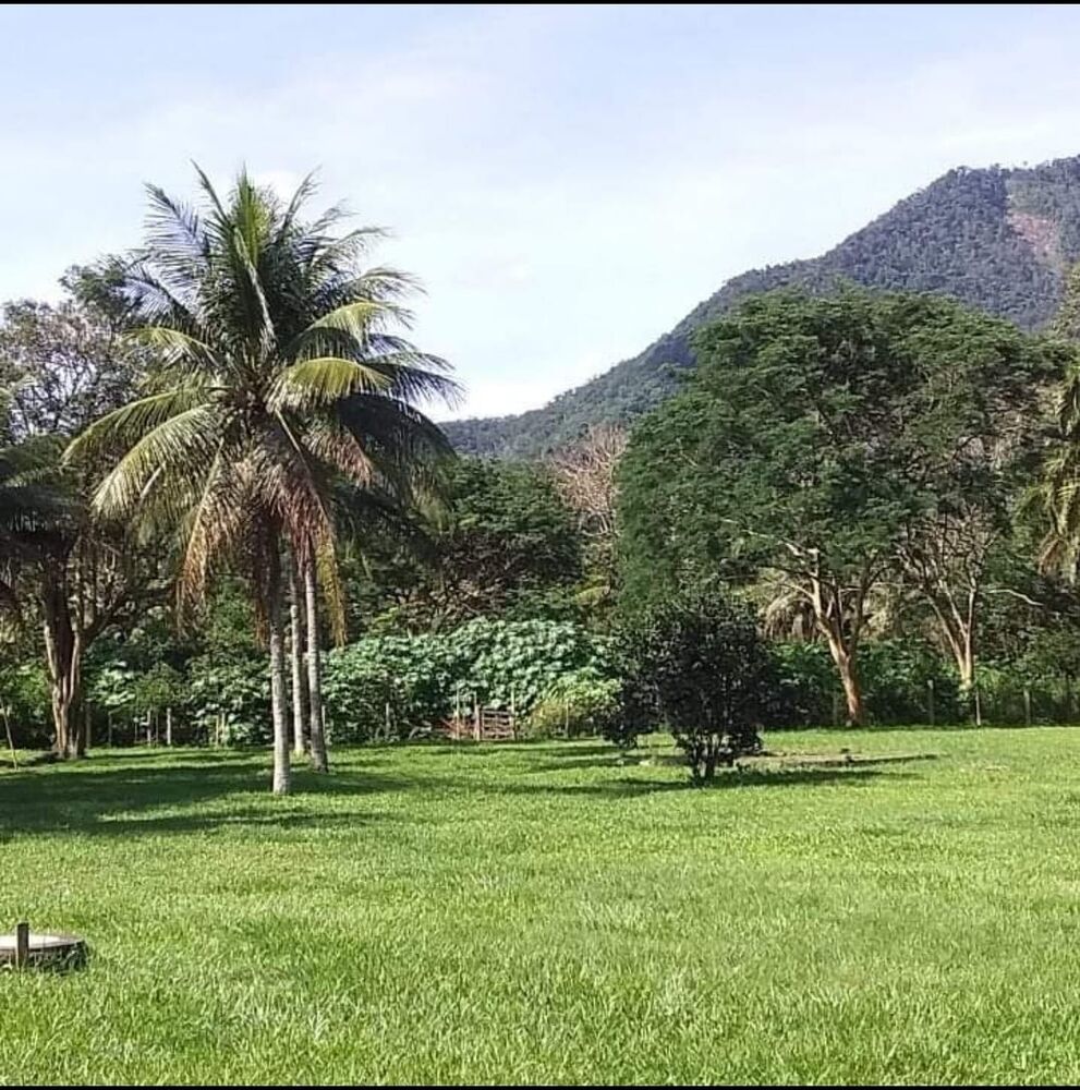 Sítio à venda com 6 quartos - Foto 5