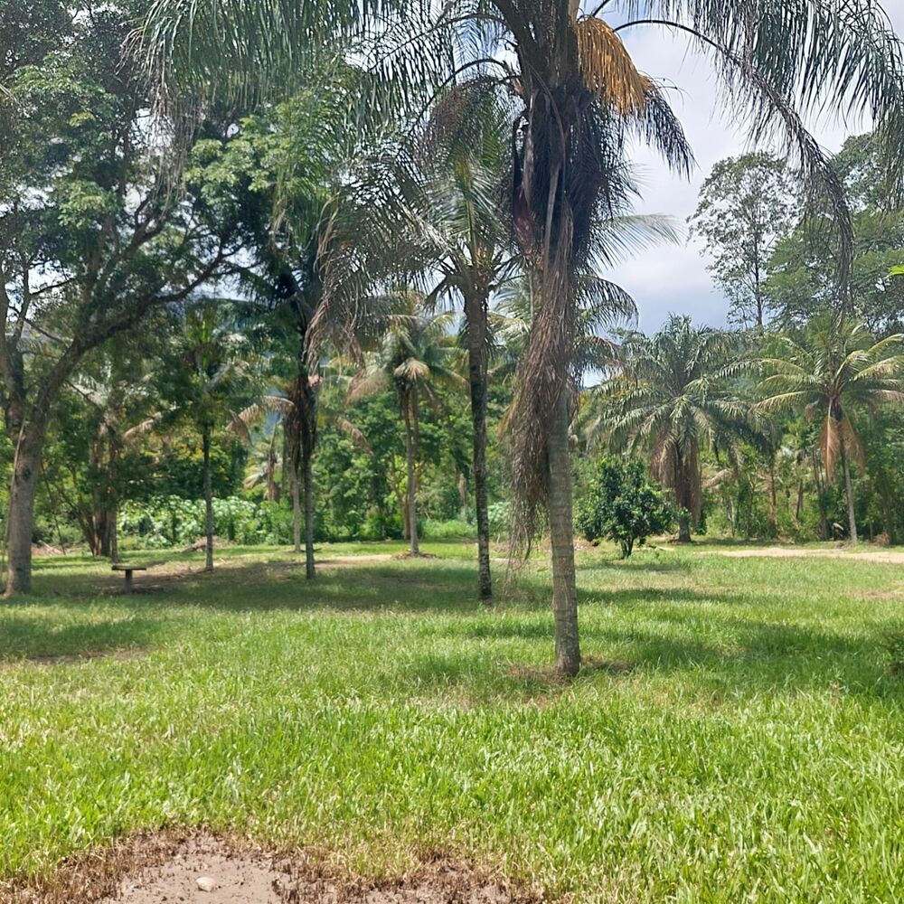 Sítio à venda com 6 quartos - Foto 8