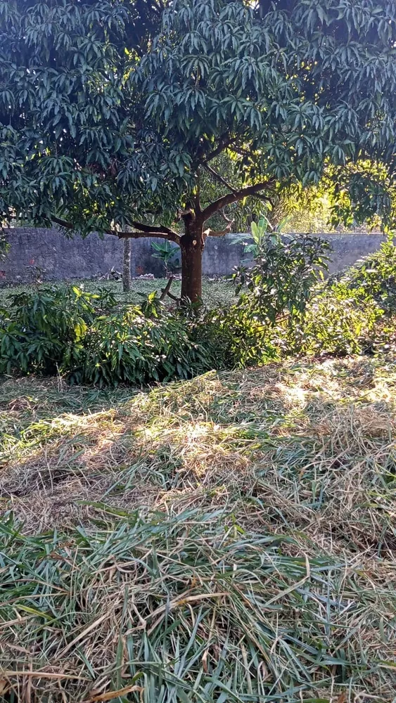 Sítio, 4 quartos - Foto 17