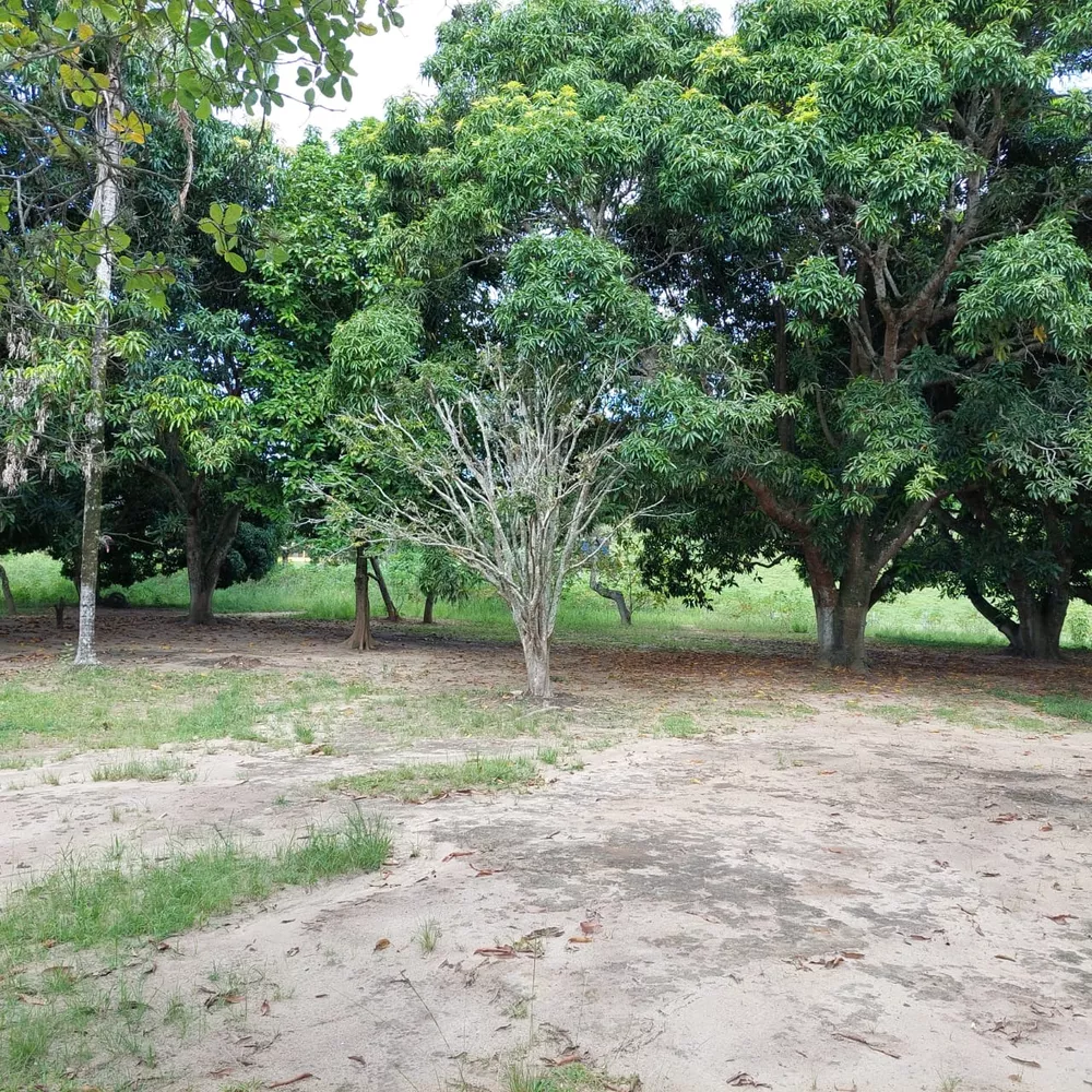 Fazenda-Sítio-Chácara, 10 quartos - Foto 63