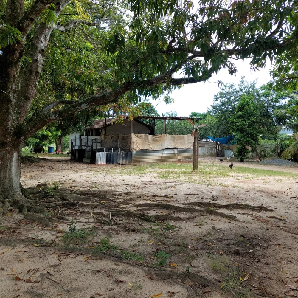 Fazenda-Sítio-Chácara, 10 quartos - Foto 68